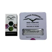 Blueberry fem (Dutch Passion), Нидерланды