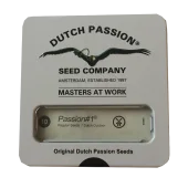 Passion №1 fem (Dutch Passion), Нидерланды