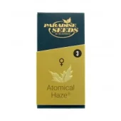 Atomical Haze fem (Paradise Seeds), Нидерланды