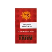 Tangerine Dream Auto fem (Barney's Farm), Нидерланды