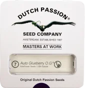 Auto Gluebery O.G. autofem (Dutch Passion), Нидерланды