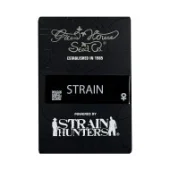 Auto-Bomb autofem (GHS), Нидерланды