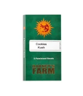 Cookies Kush fem (Barney's Farm), Нидерланды