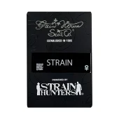 A.M.S. fem (GHS), Нидерланды