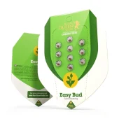 Easy Bud Auto autofem (Royal Queen Seeds), Испания