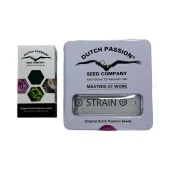 Auto Oh My Gusher autofem (Dutch Passion), Нидерланды