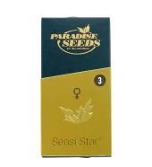 Sensi Star fem (Paradise Seeds), Нидерланды