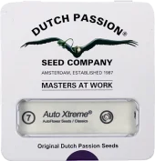 Auto Xtreme autofem (Dutch Passion), Нидерланды