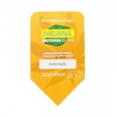 Bubblelicious Automatic autofem (Nirvana), Нидерланды