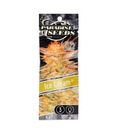 Icecream fem (Paradise Seeds), Нидерланды