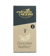 Chocolate Wafflez fem (Paradise Seeds), Нидерланды