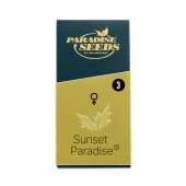 Sunset Paradise fem (Paradise Seeds), Нидерланды