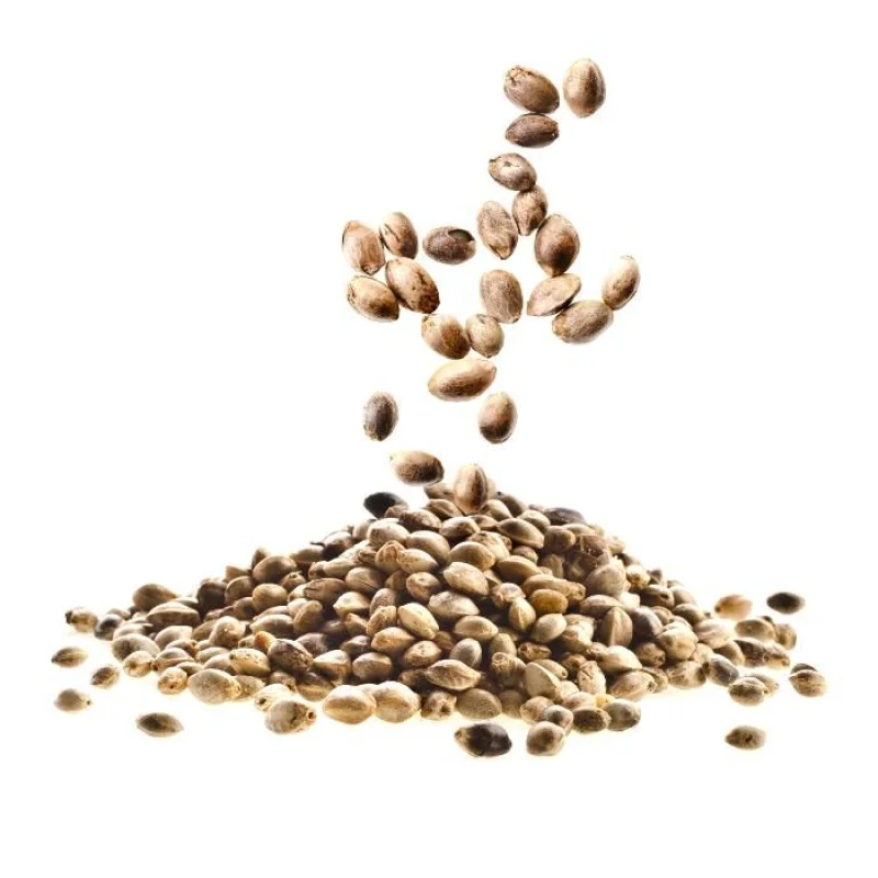 Название картинки