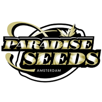 Paradise Seeds