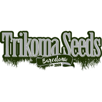 Trikoma Seeds